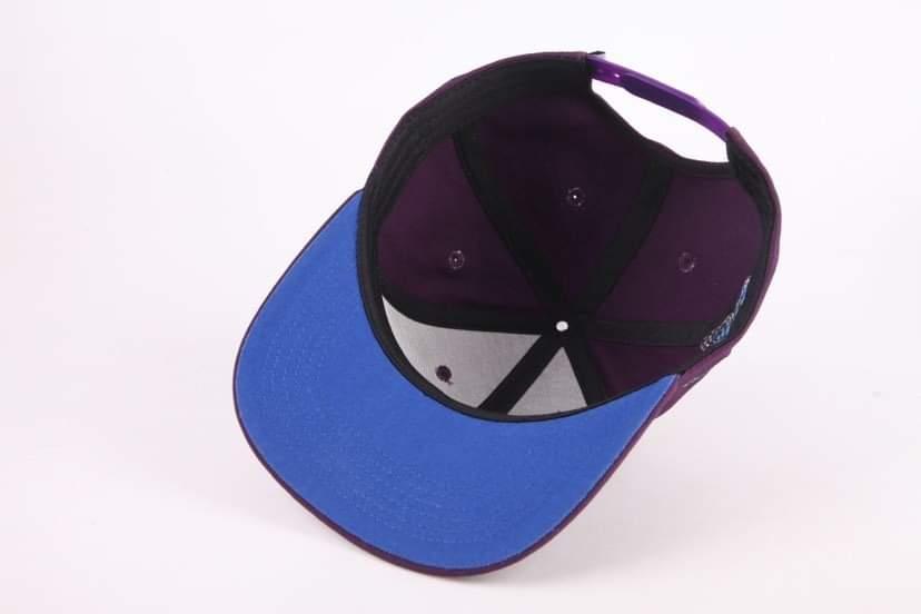 New Beginnings Snapback In Purple